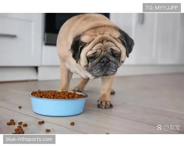 凯恩家冰箱里塞满蛋白粉，连狗粮都是低脂的